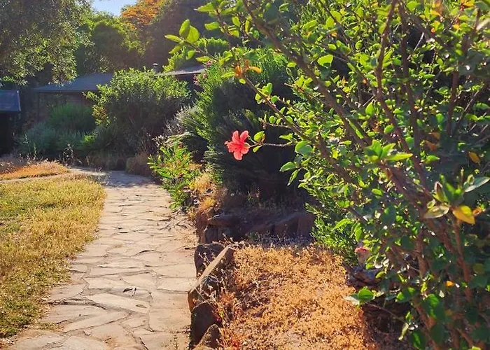 Отель Pedregales Complejo Rural