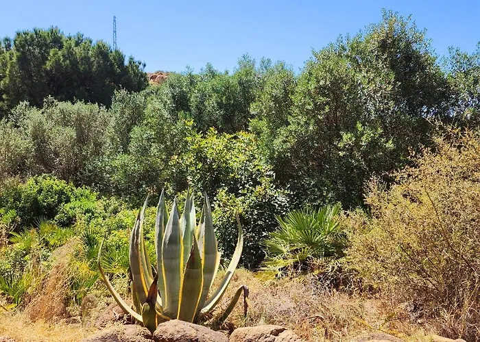 Pedregales Complejo Rural Otel